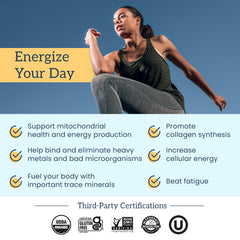 Organifi Shilajit Gummies serving size two for daily energy support.