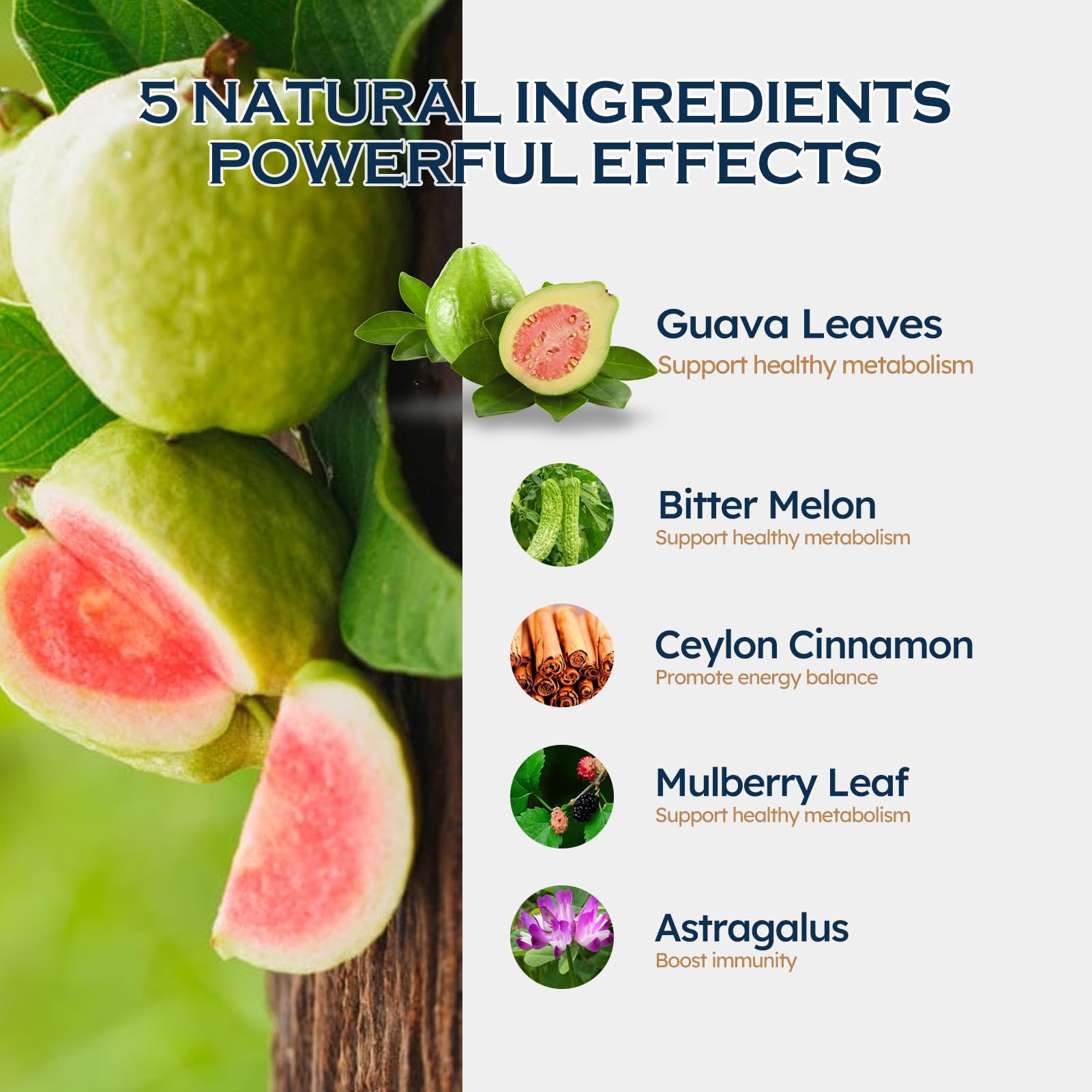 ORGANIHERBENCE cinnamon leaves drops emphasize metabolic cues and steady energy.
