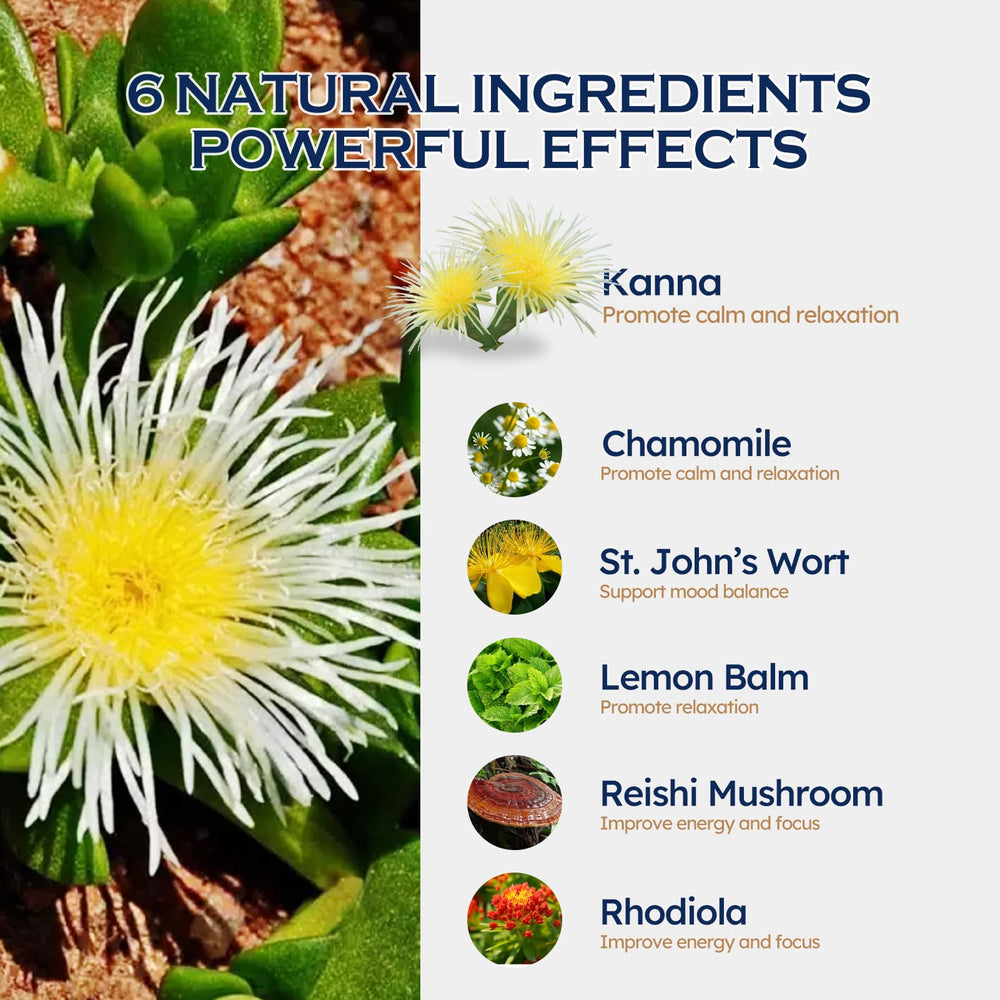 ORGANIHERBENCE kanna drops in water demonstrates quick, convenient mixing.