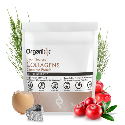 Scoop of Organixx Collagen Powder ready to mix into a beverage or recipe.