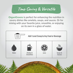 Organixx Greens probiotic enzyme blend close-up supports digestion.
