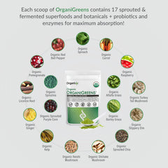 Organixx Greens scoop ready for quick, precise dosing.