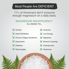 Organixx Magnesium chelated capsules in studio shot convey premium absorption