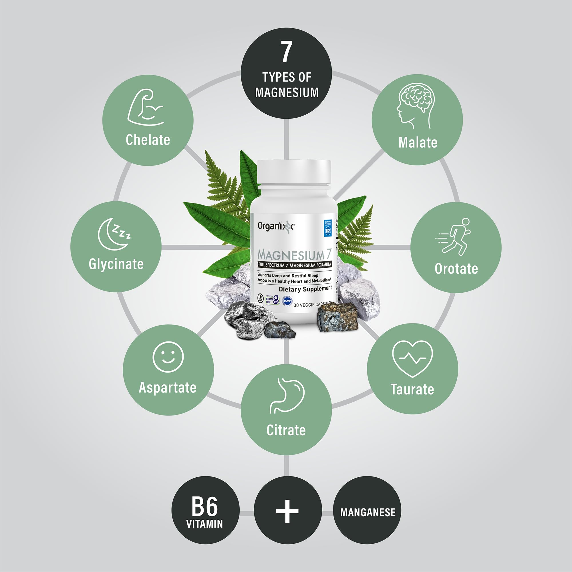 Evening ritual scene with Organixx Magnesium Glycinate supporting restful sleep