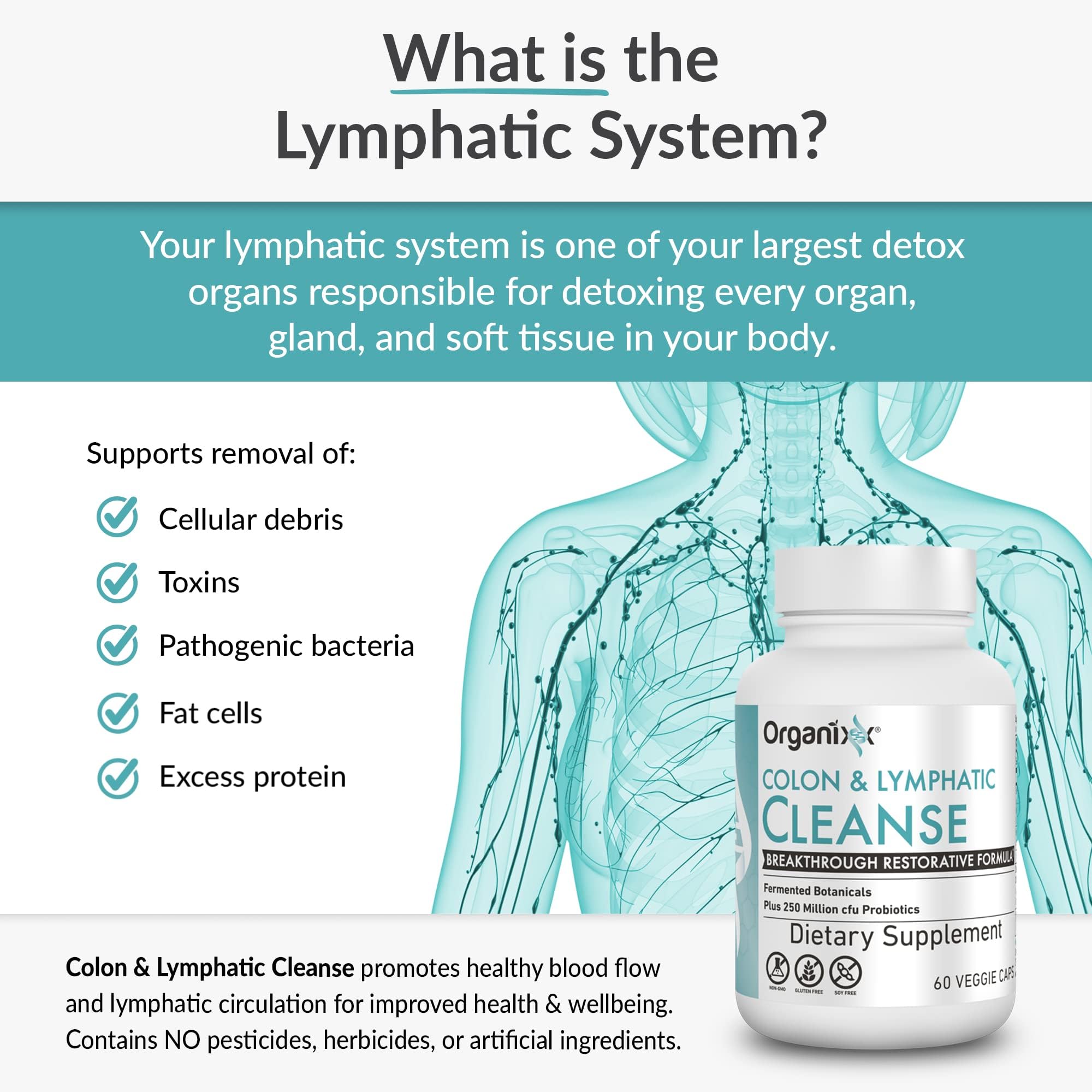 Organixx organic ingredients image highlights pure components for gut health.