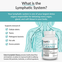 Organixx organic ingredients image highlights pure components for gut health.