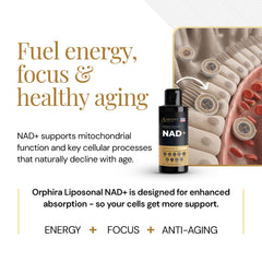 Close-up of Orphira NAD+ label highlighting vegan, non-GMO formula.