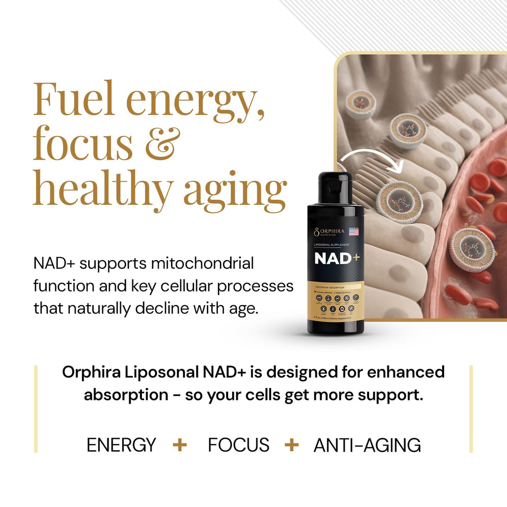 Orphira NAD+ science illustration highlights liposomal delivery and uptake.