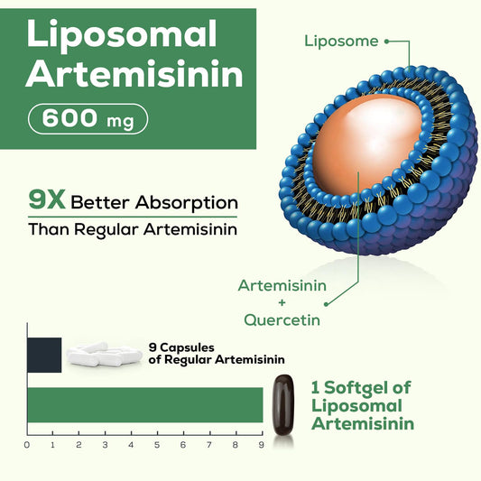 Close-up of Osasuna artemisinin capsules showing high-potency formulation.
