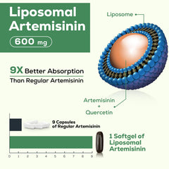 Close-up of Osasuna artemisinin capsules showing high-potency formulation.