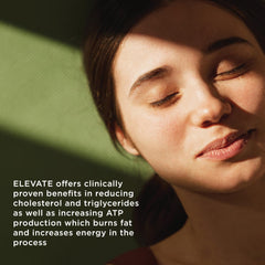 OSMOSIS Elevate metabolism scene hints at energy and metabolic support.