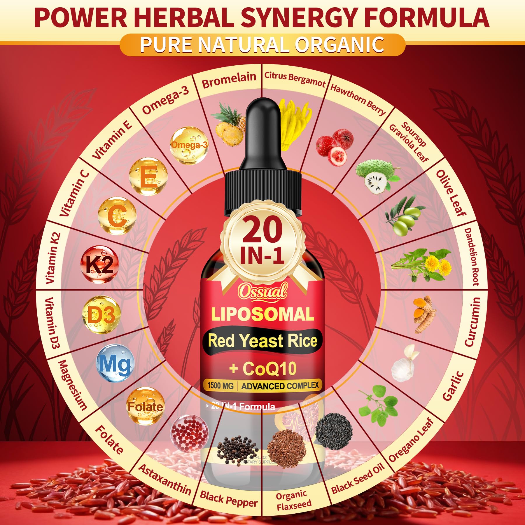 Ossual illustration of liposomal encapsulation improving nutrient absorption