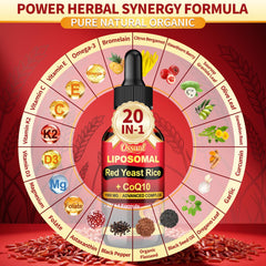 Ossual illustration of liposomal encapsulation improving nutrient absorption