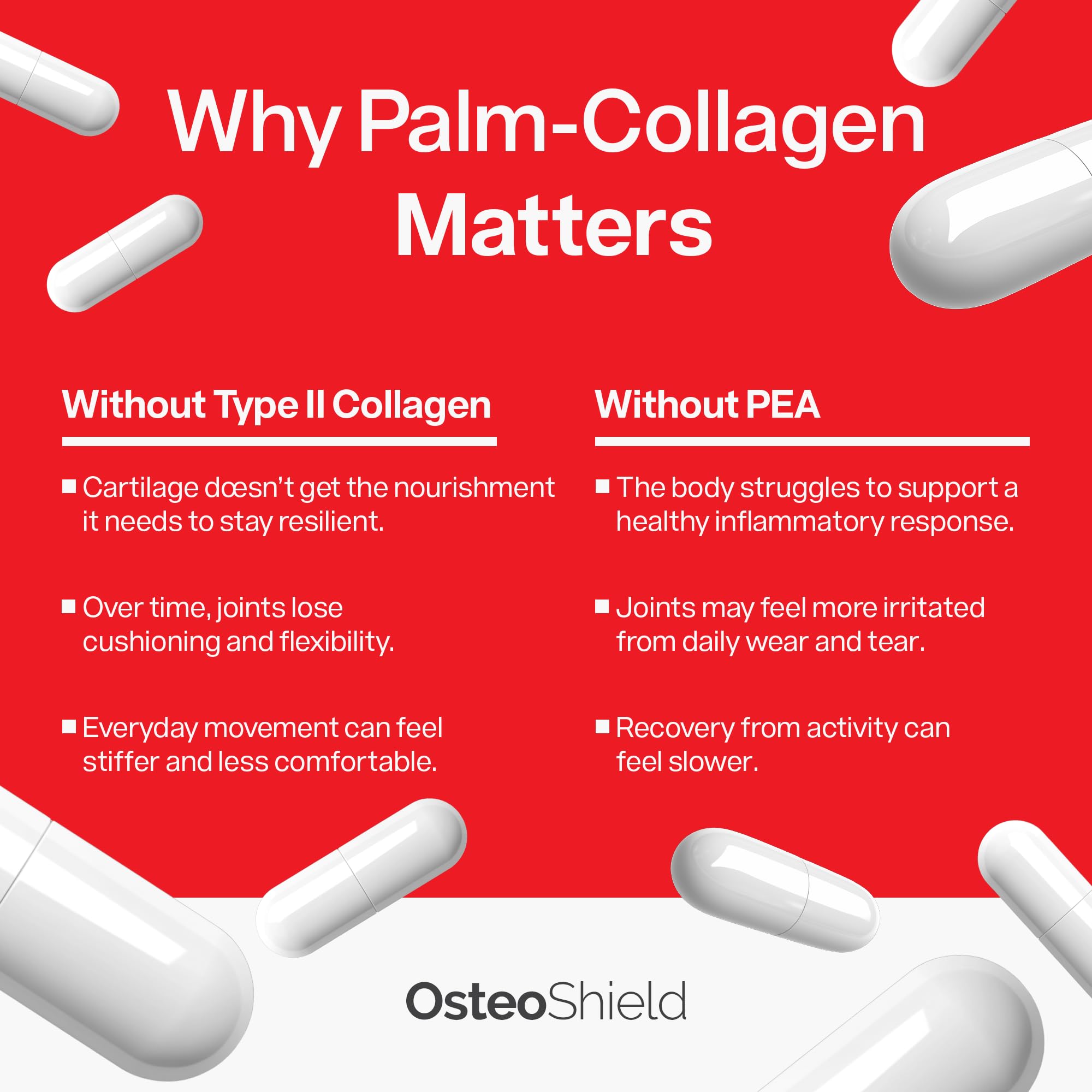 OsteoShield type II collagen hinting cartilage nourishment