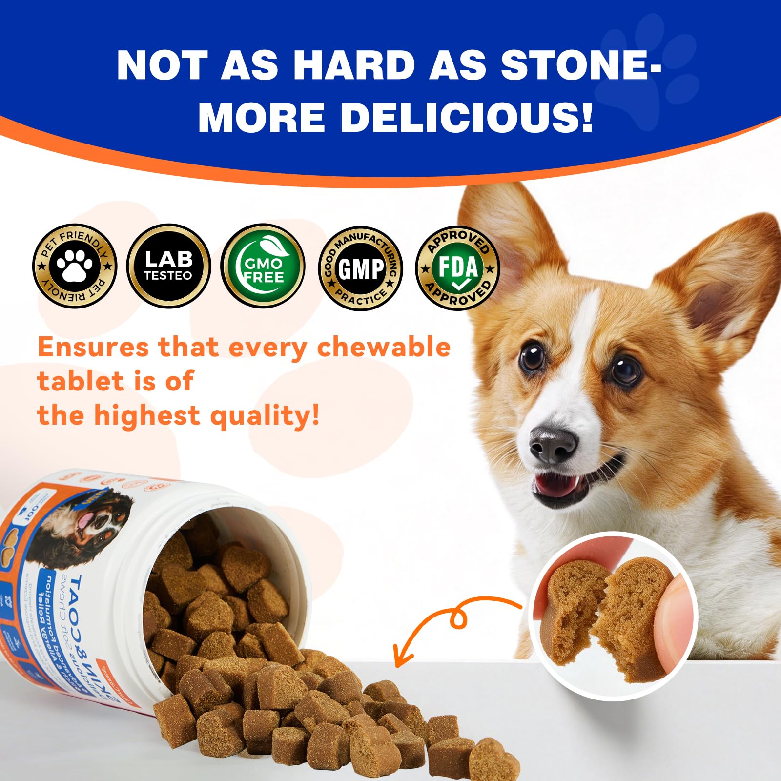 OurCares Omega-3 dog coat shine scene suggests a glossy coat.