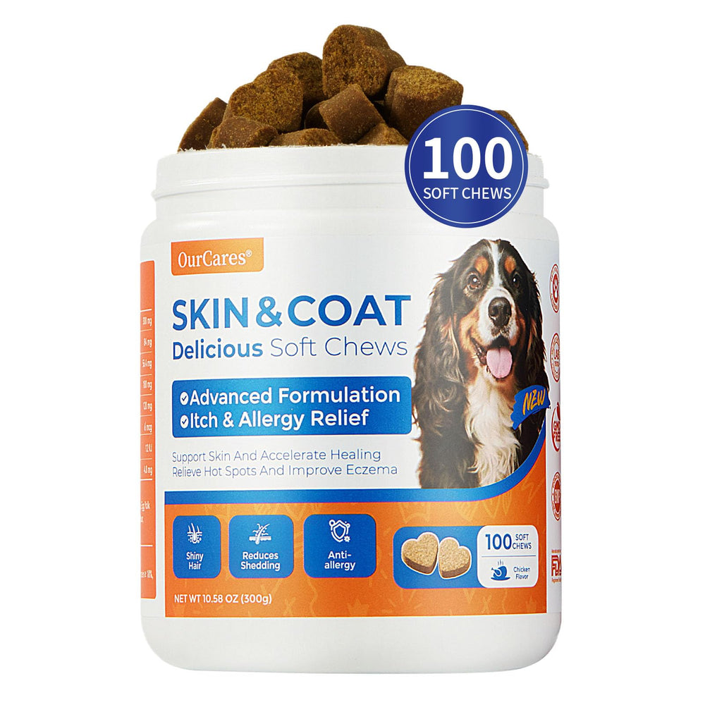 OurCares Omega-3 dog soft chews in jar support healthy skin and coat shine.