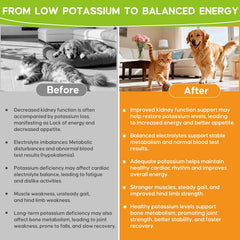 Ourea Renal K being mixed into pet food for easy administration.