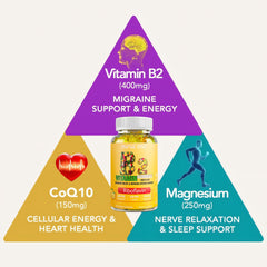 ourui one vitamin-b2-gummies lemon-label emphasizes CoQ10 and magnesium synergy for focus.