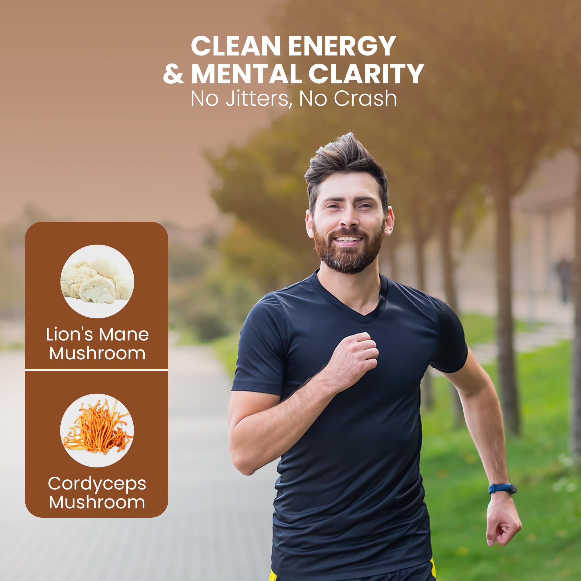 OVIA lions-mane-cordyceps-reishi-chaga coffee highlights adaptogenic support