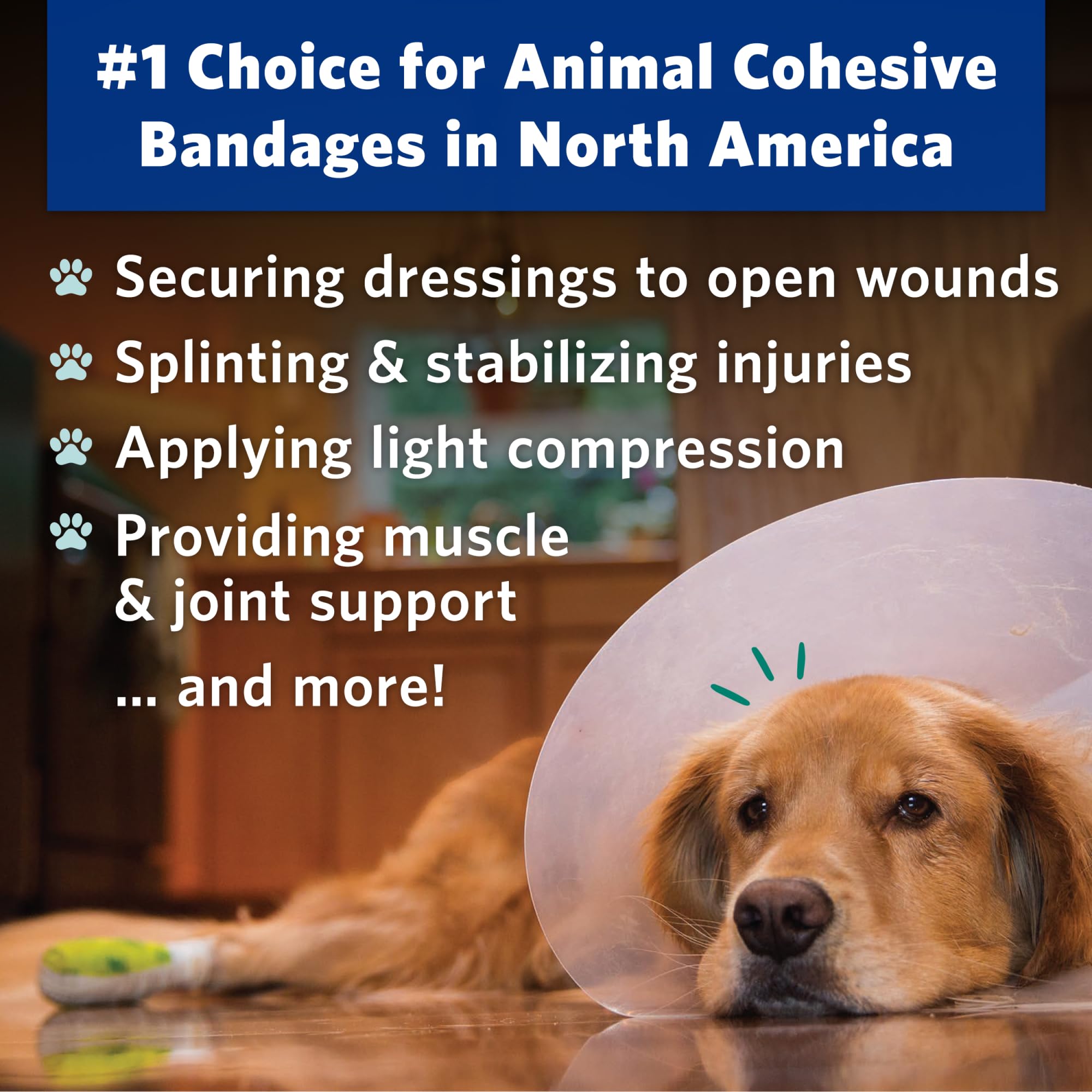 Pet wearing PetFlex No Chew on paw for secure protection.