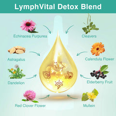 owegel Liposomal Lymphatic Drops dropper closeup demonstrates precise 2 ml serving.