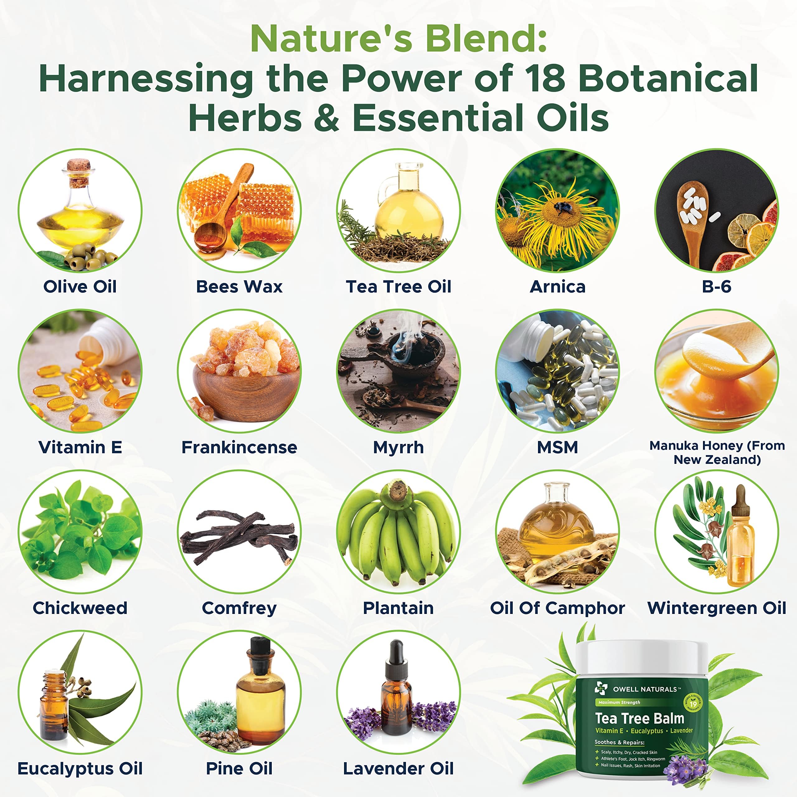 Owell Naturals Tea Tree Balm application to the foot targets feet for relief.