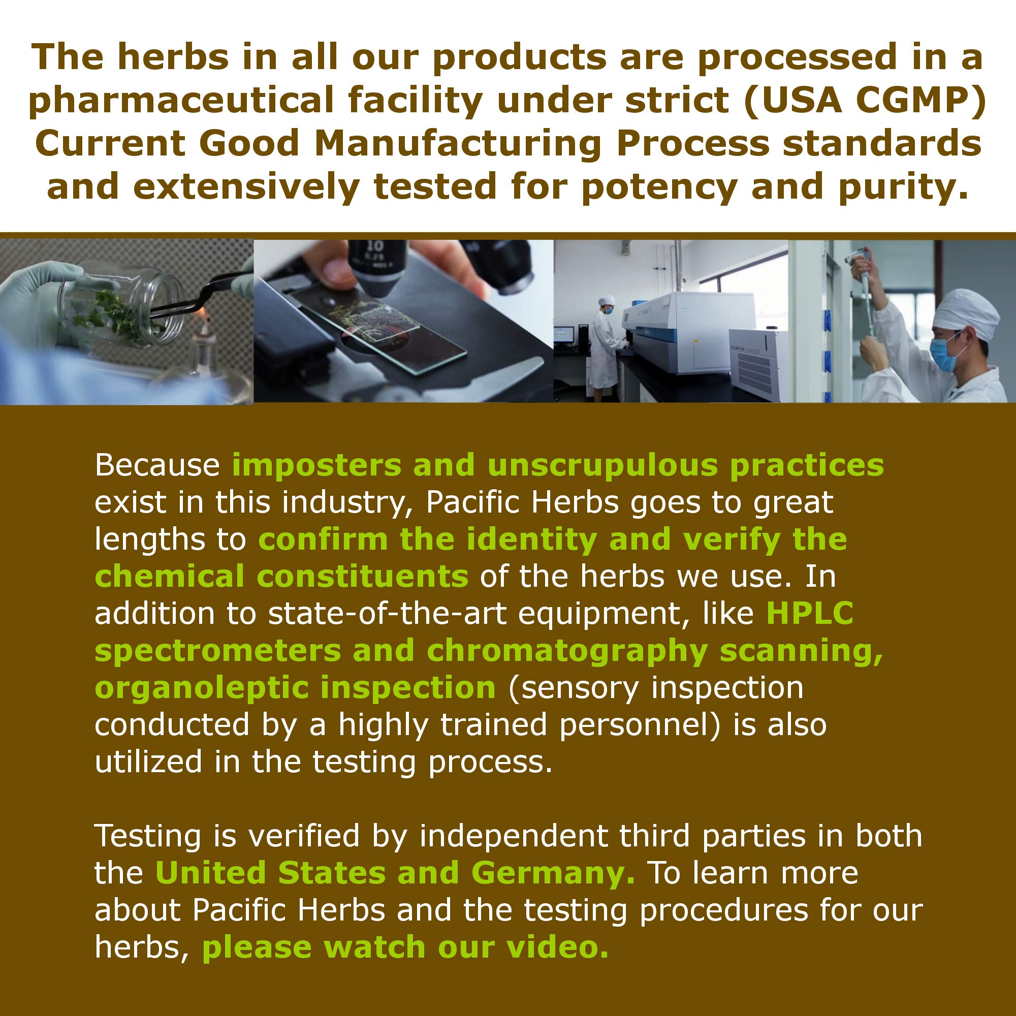 Pacific Herbs Menopause Relief Pack ready-to-brew tea cup for daily ritual.