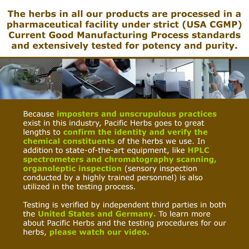 Pacific Herbs Menopause Relief Pack ready-to-brew tea cup for daily ritual.