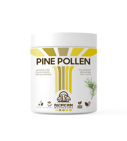 Pacific Rim Mushrooms Pine Pollen Powder bottle, ideal for daily energy routines.
