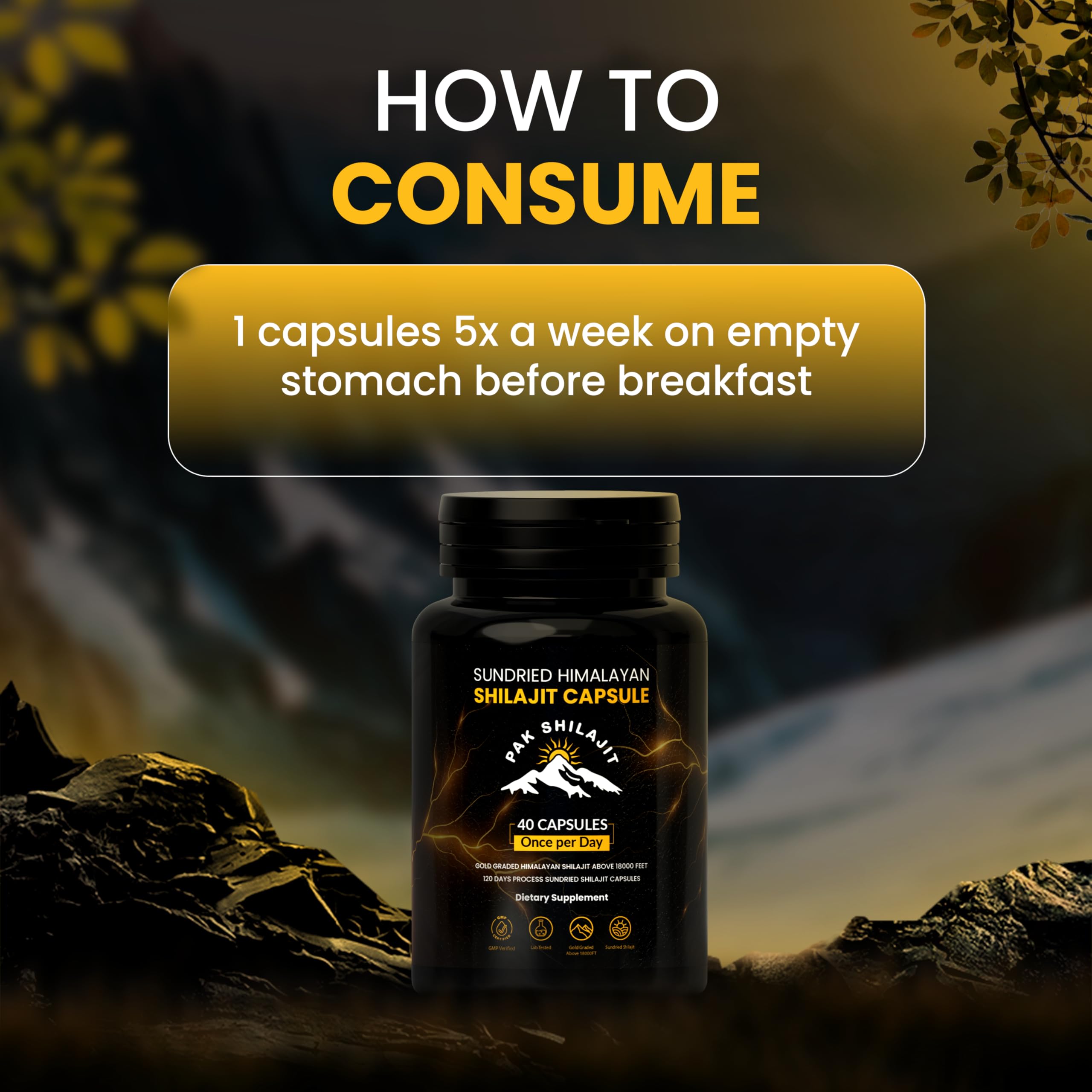 PakShilajit bottle resting on green leaf signals natural origin.