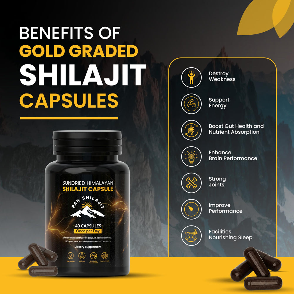 PakShilajit resin sample shows Himalayan origin and natural craftsmanship.