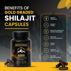 PakShilajit resin sample shows Himalayan origin and natural craftsmanship.