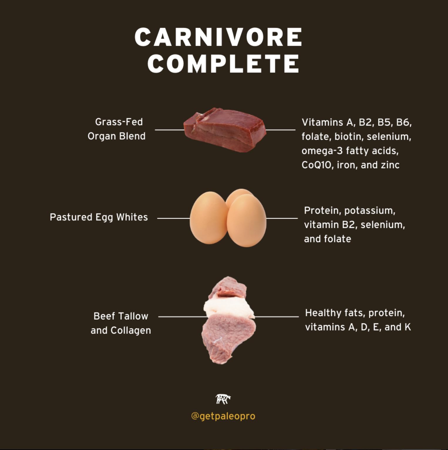 PaleoPro Carnivore Complete Aztec Vanilla travel kit showcases on-the-go nutrition.