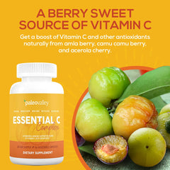 Paleovalley Essential C Complex amla berries illustrate traditional vitamin C source.