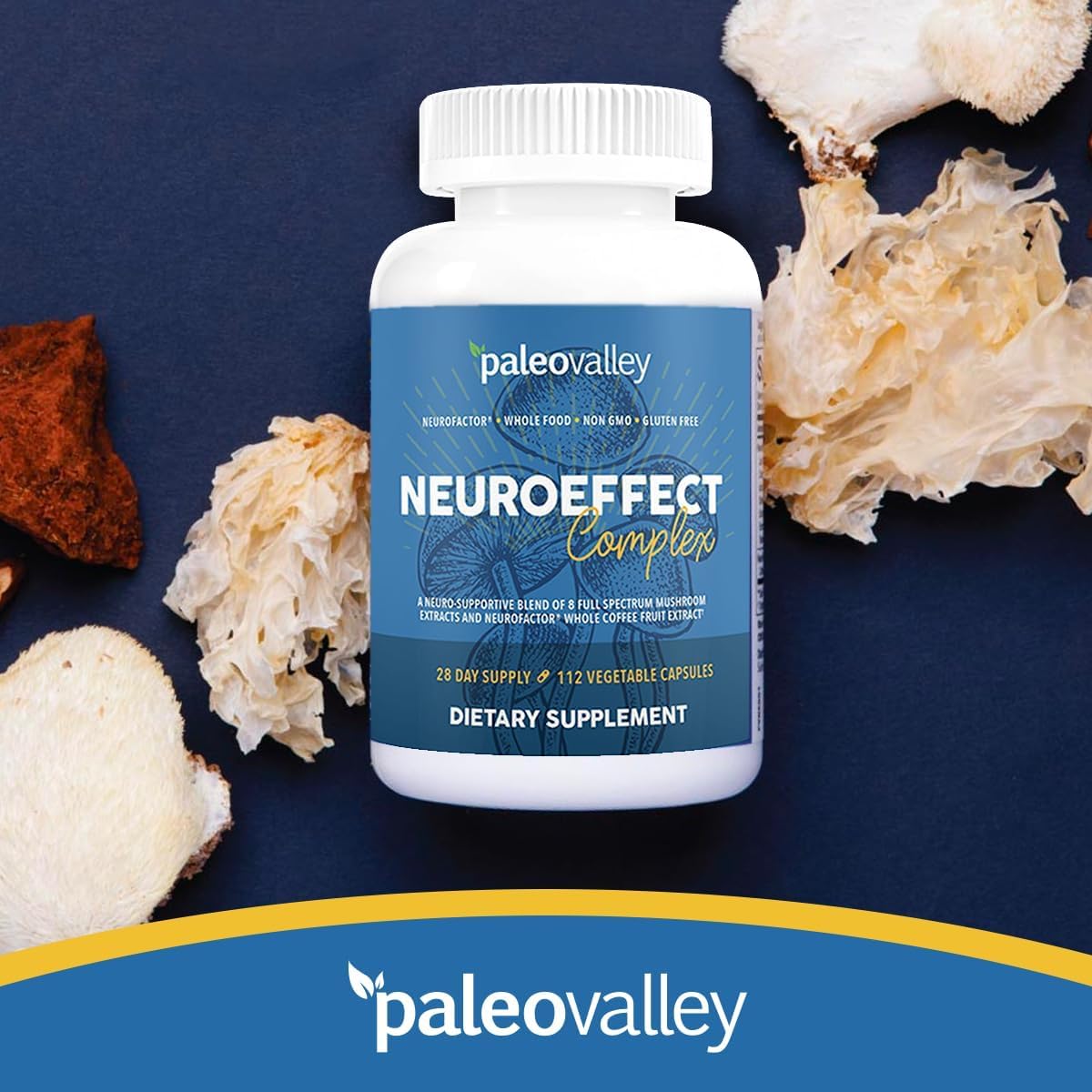 Paleovalley NeuroEffect coffee fruit extract visual supports focus with gentler energy.