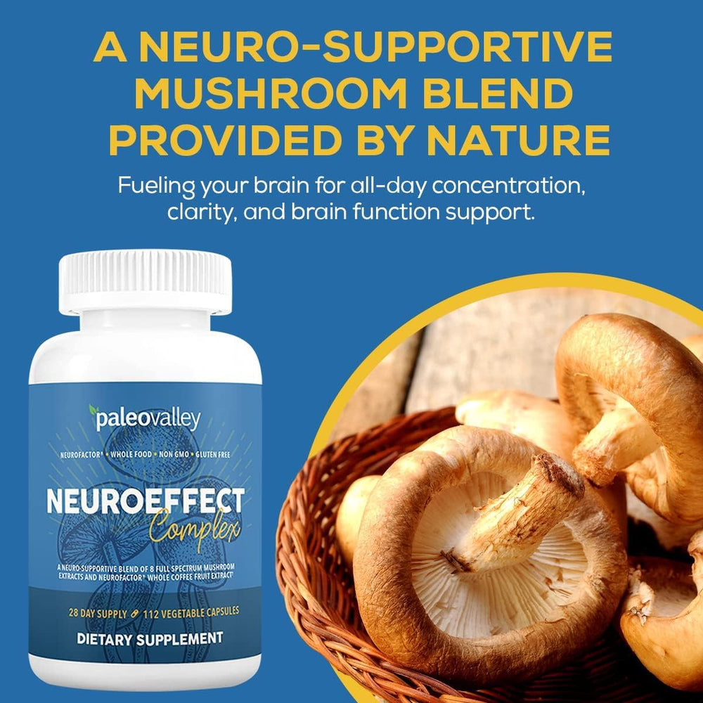 Paleovalley NeuroEffect mushroom blend image highlighting full-spectrum extracts and wellness.