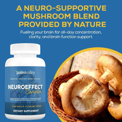 Paleovalley NeuroEffect mushroom blend image highlighting full-spectrum extracts and wellness.