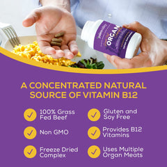 Paleovalley Organ Complex label, ready-to-use bottle with clear nutrition-forward branding.