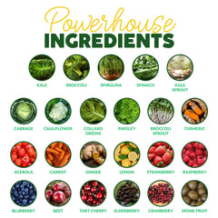 Paleovalley Organic Supergreens jar on counter with bright greens for daily use.