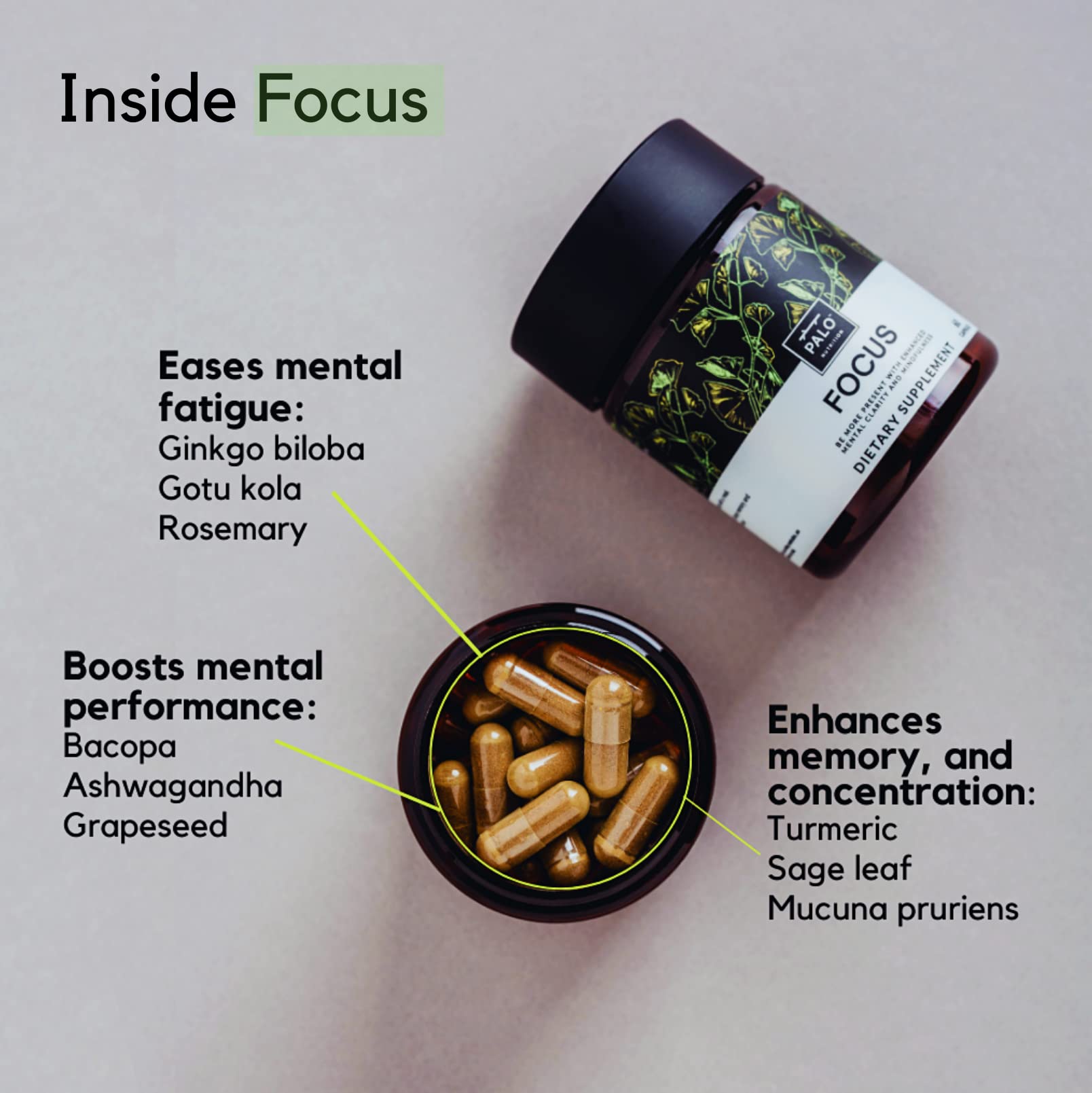 PALO Focus label details spotlight nine botanicals powering attention and memory.