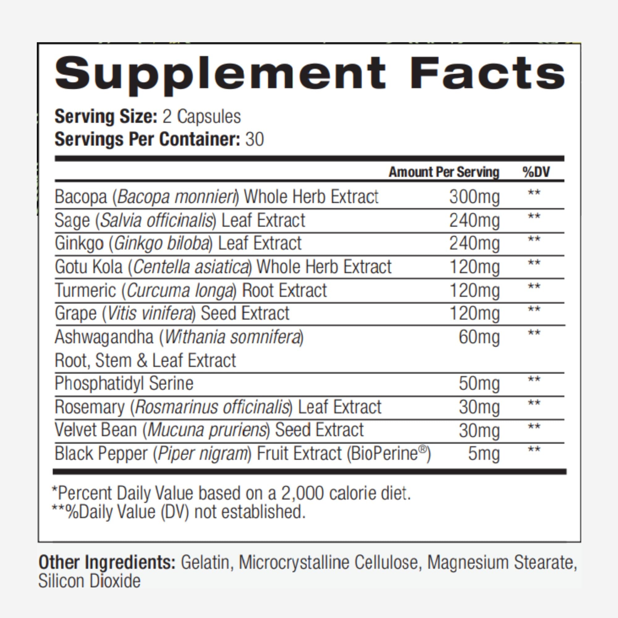 PALO Focus packaging box communicates vegan, non-GMO, gluten-free quality.