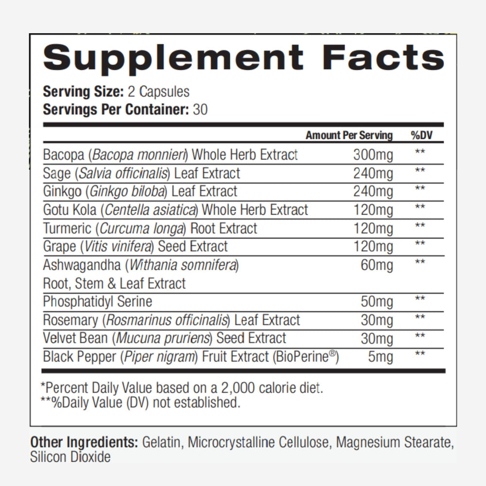 PALO Focus packaging box communicates vegan, non-GMO, gluten-free quality.