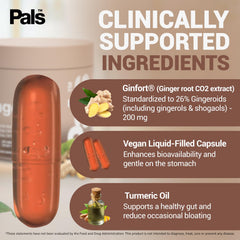 PALS Pure Ginger Root on-the-go use suggests travel-friendly digestive comfort