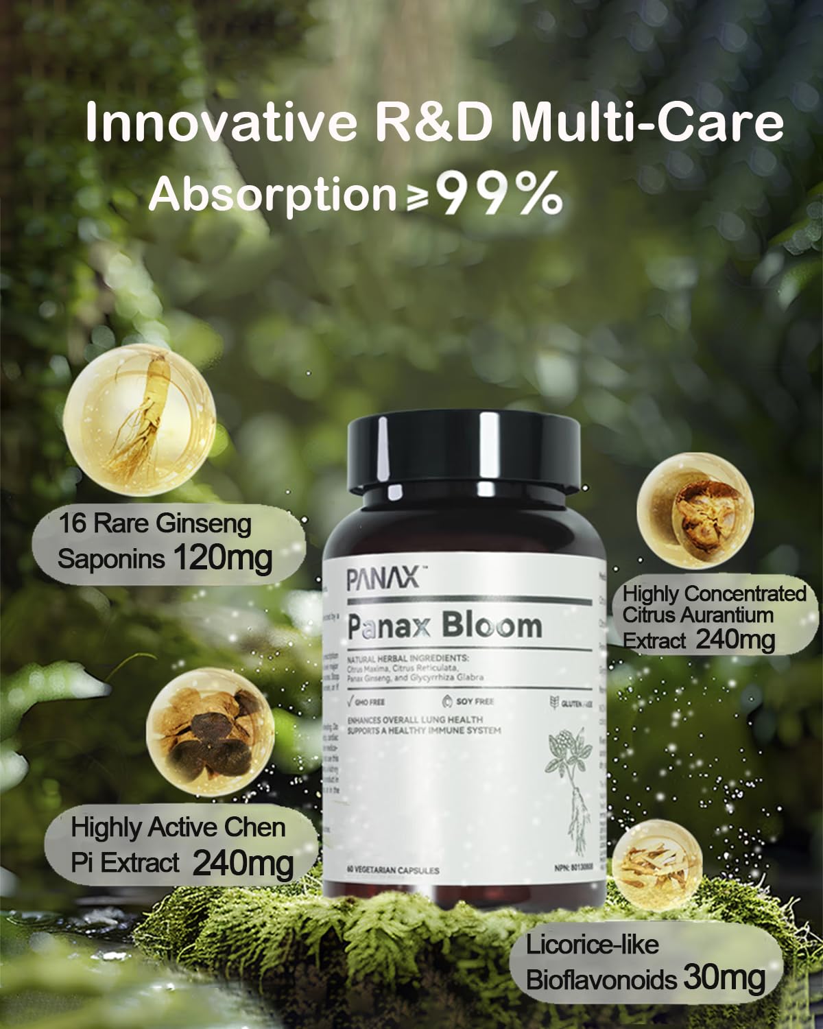 Panax Bloom lung support scene in morning routine