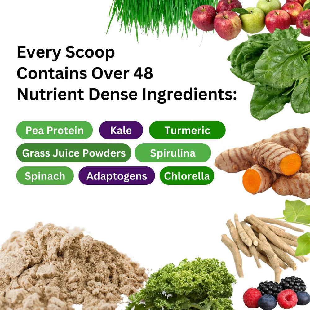 Paradise Herbs ORAC Energy enzyme blend emphasizes protein digestion support.