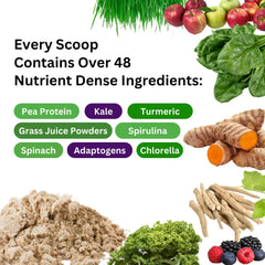 Paradise Herbs ORAC Energy enzyme blend emphasizes protein digestion support.