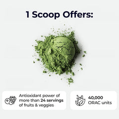 Paradise Herbs ORAC Energy Greens ingredients blend with spirulina and chlorella in display