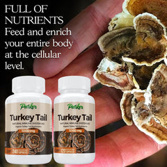 Parker Naturals turkey tail bottle contents highlight quality