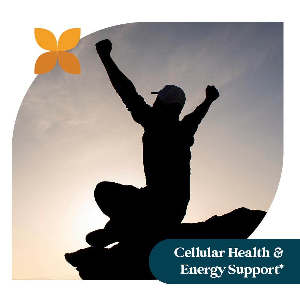 Pattern Wellness Glutathione ingredients graphic underscores reduced glutathione and vitamin C.