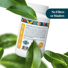 Pattern Wellness Turmeric Curcumin bioperine absorption closeup communicates enhanced nutrient uptake potential.